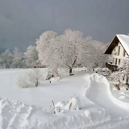 Apartmán Miedl