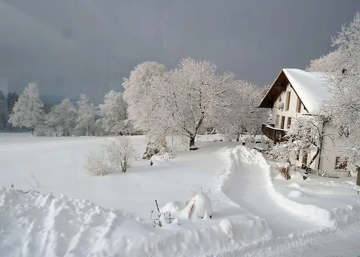 Apartmán Miedl